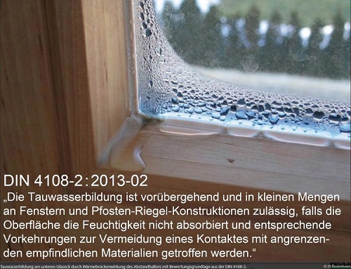 Wer oder was ist Schuld, wenn es nass und schimmelig wird am Fenster?